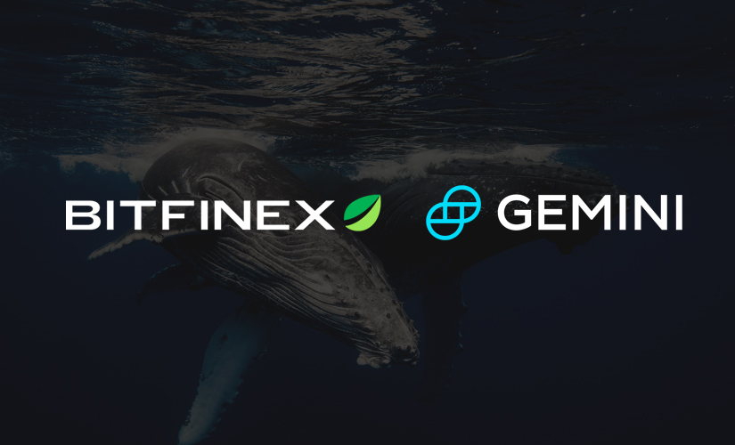 Битфайнек_джемини