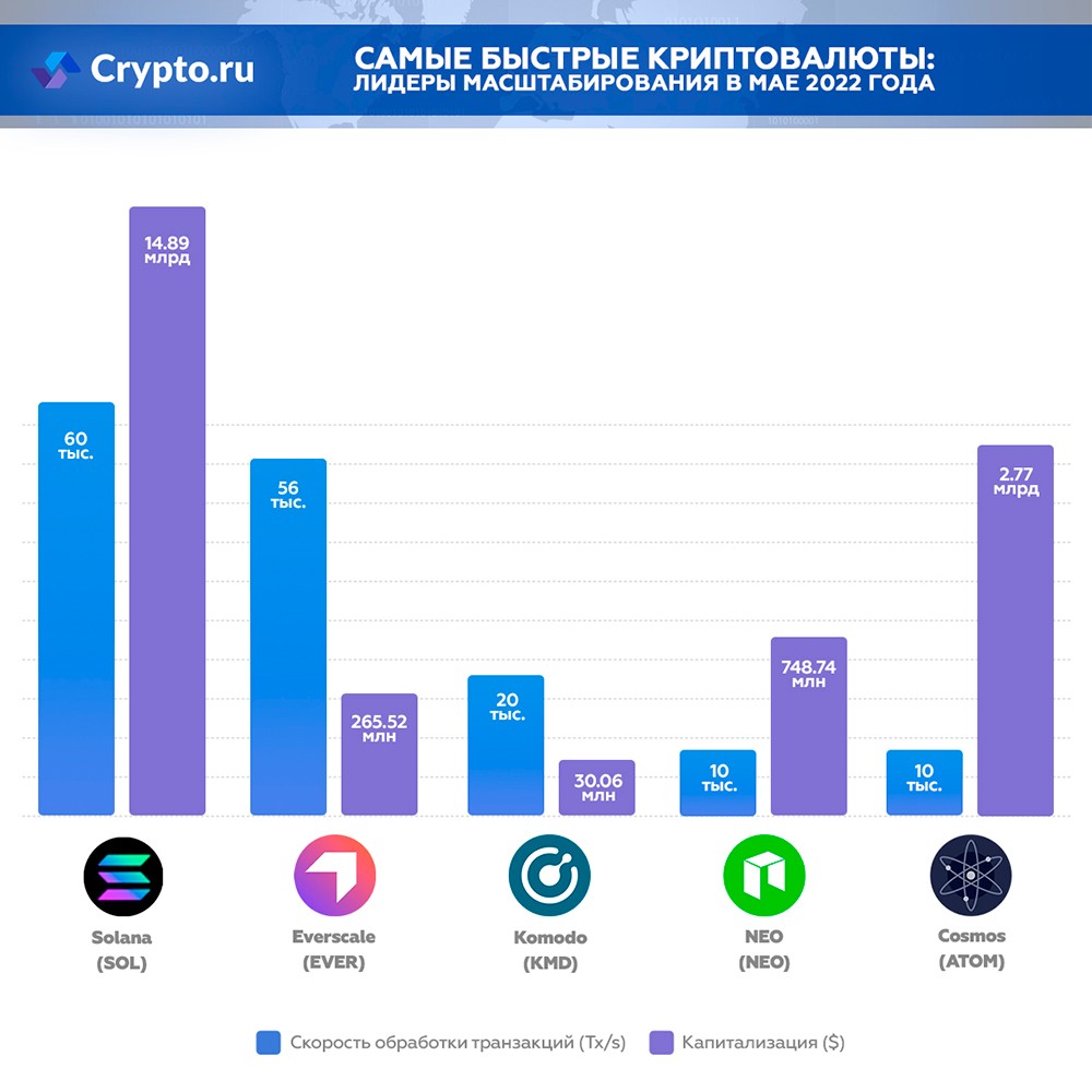 Инфографика самых быстрых криптовалют