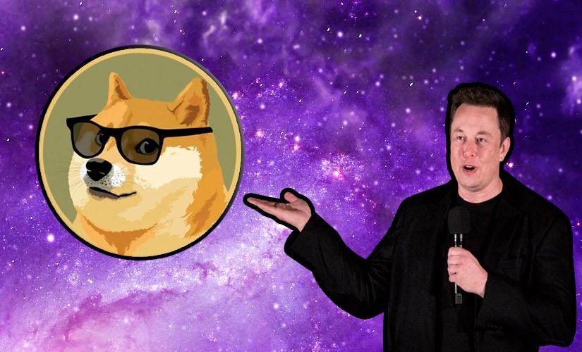 Криптокит Scarlet Witch выкупил монеты DOGE