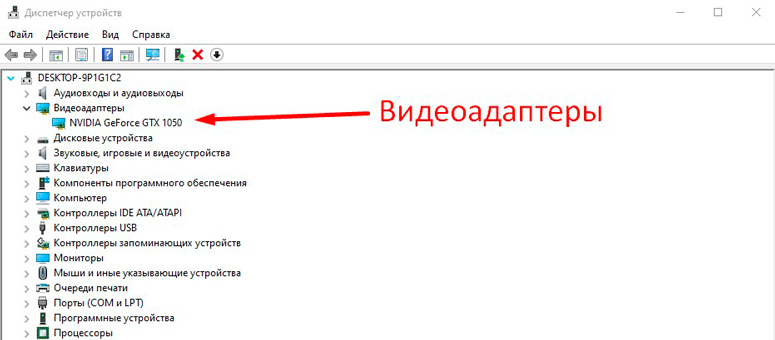 Видеокарта в «Диспетчере устройств Windows»