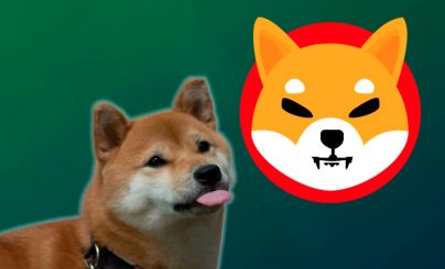 Приток Shiba Inu на биржи