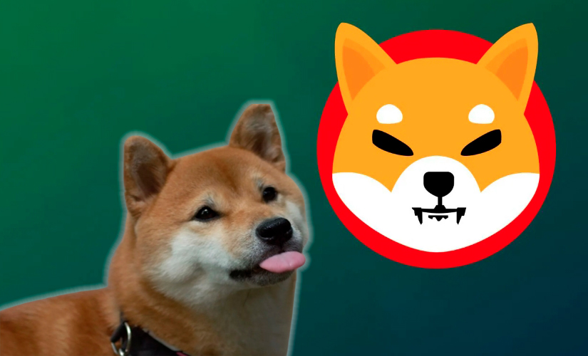 Приток Shiba Inu на биржи