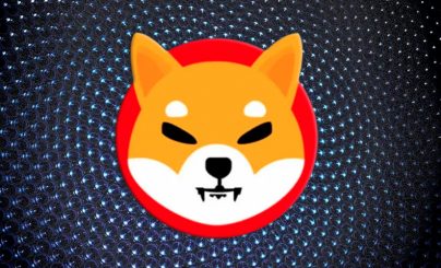Распродажи Shiba