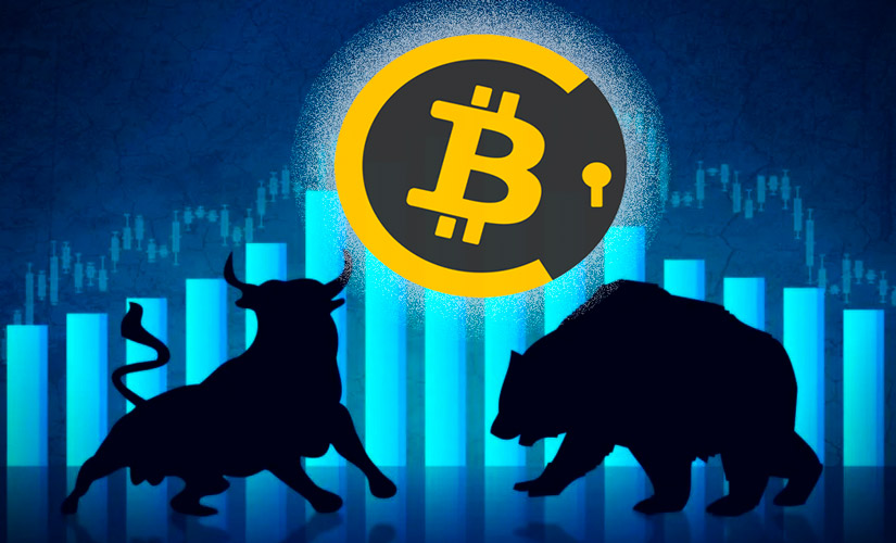 Биткоин-быки продолжают контролировать ситуацию