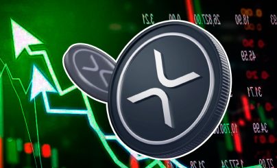 Ripple продолжает устойчиво укреплять позиции