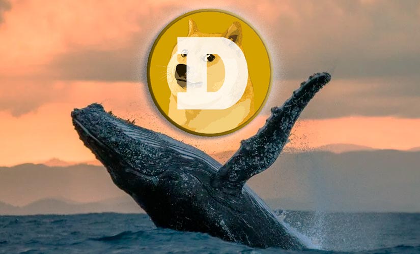 Криптокиты Dogecoin начали активно накапливать позиции