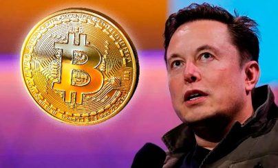 Cообщество BTC ожидает интеграции Bitcoin Lightning в Twitter