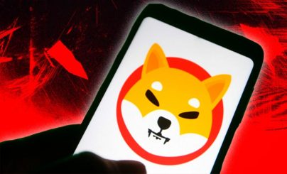 Количество профитных держателей в системе SHIB выросло на 300%