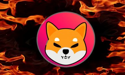 Разработчик Shiba Inu