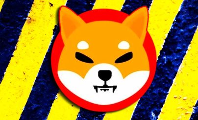 Shiba Inu