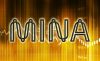 Мина