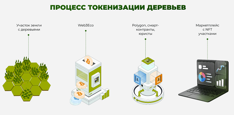 Как создаются NFT, связанные с экологией