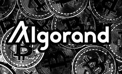 ALGO