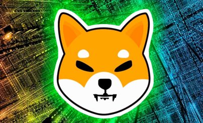 Shiba Inu