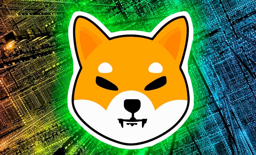 Shiba Inu