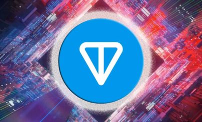 Тонкоин