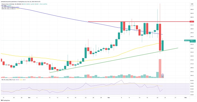 Стоимость BNB