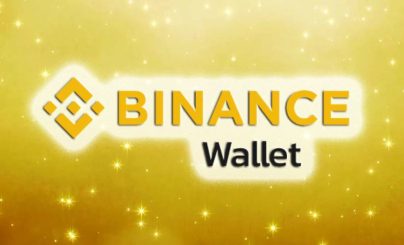 Бинанс Волет
