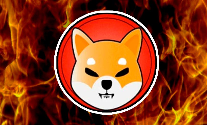 Shib