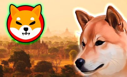 Shiba Inu