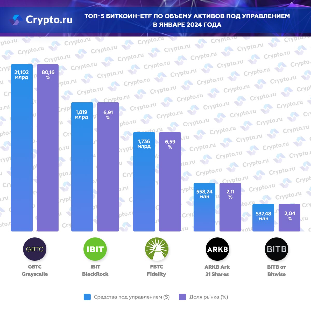 Инфографика