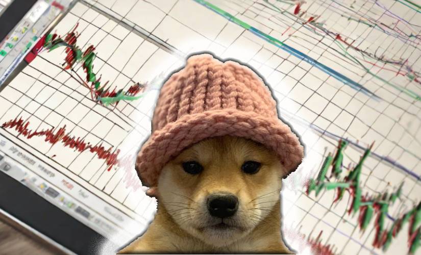 Дог ВифХэт