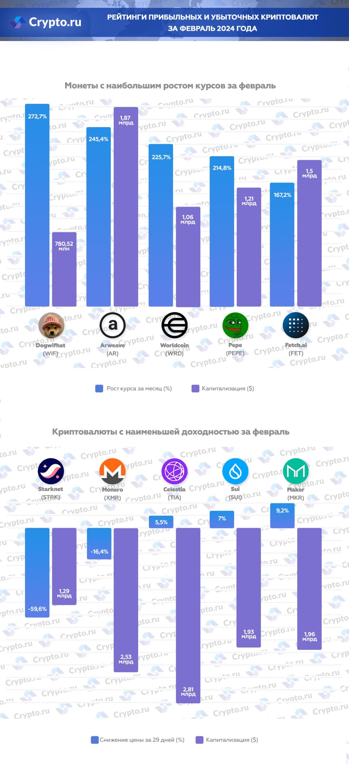 Инфографика