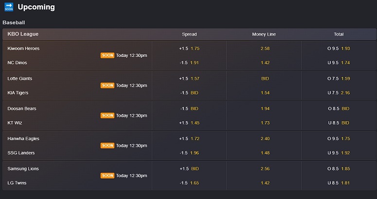 SX Bet