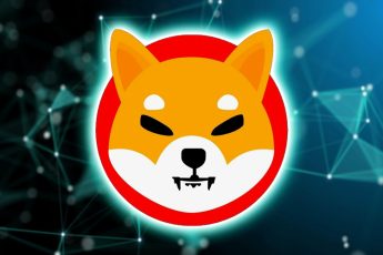 Shiba inu