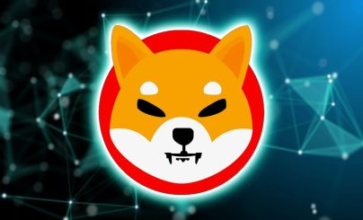 Shiba inu