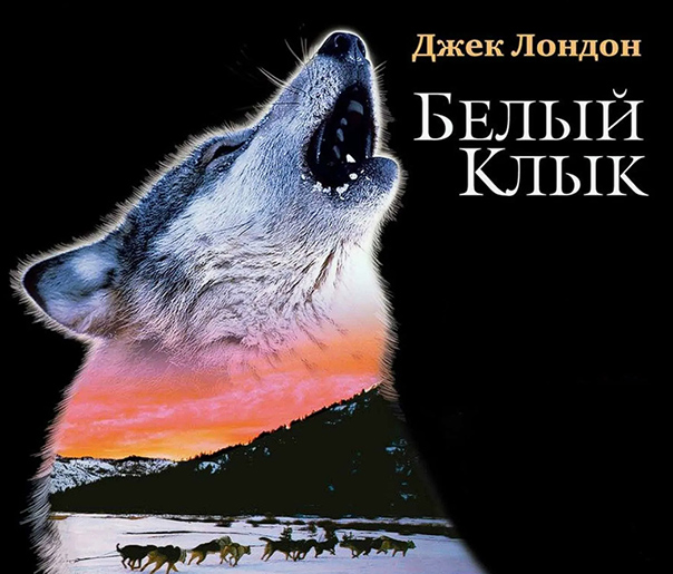 WifDog