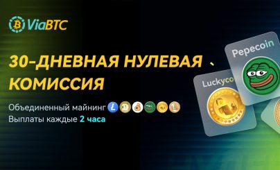 Специальное предложение