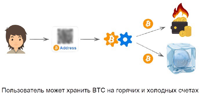 Виды криптовалютных хранилищ