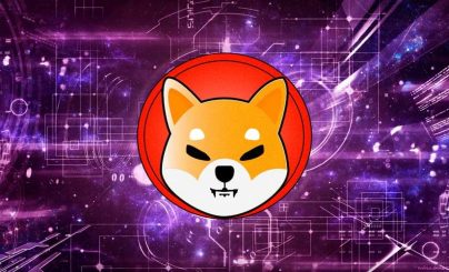 SHIBA INU