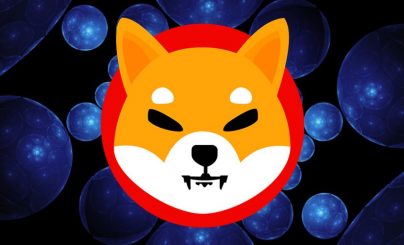SHIBA INU