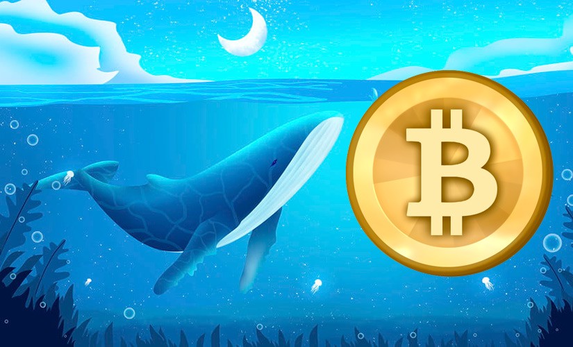 Биткоин-киты
