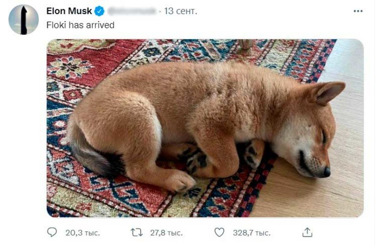Пост в Twitter о щенке Floki