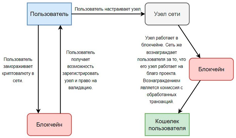 Схематичное описание пути от заморозки криптовалюты до прибыли с вложенийПринцип валидации и стекинга