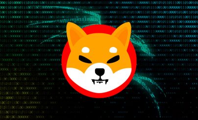 SHIBA INU