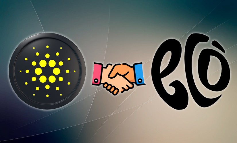 Cardano Foundation и Eco-Age