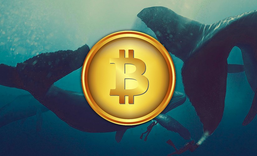 Киты скупают BTC