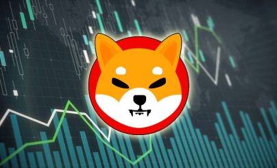 shiba-inu