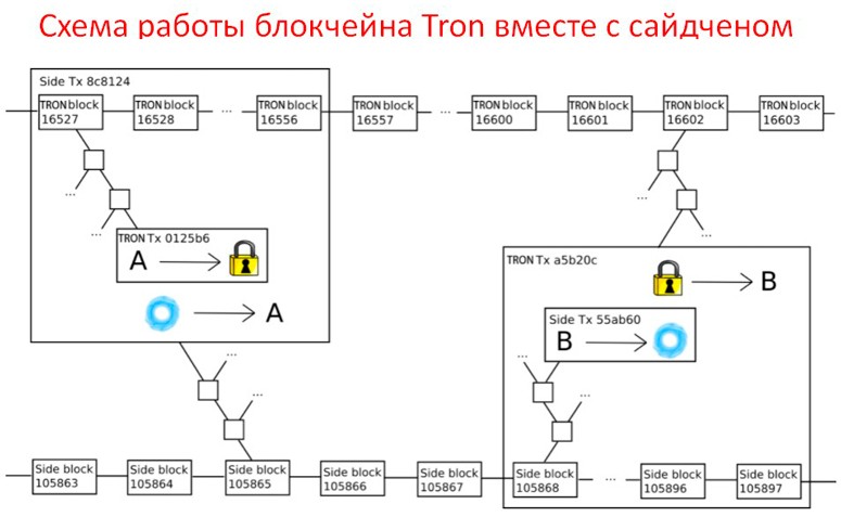 Описание цифровой цепочки Tron