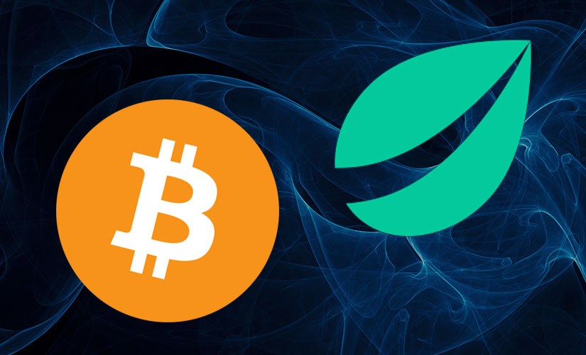 Bitfinex