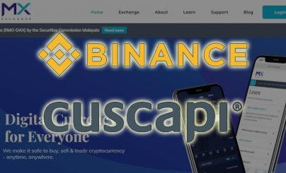 binance_cuscapi