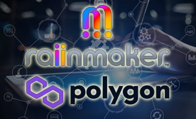 Raiinmaker_Polygon