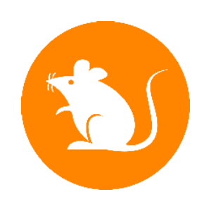 Rats