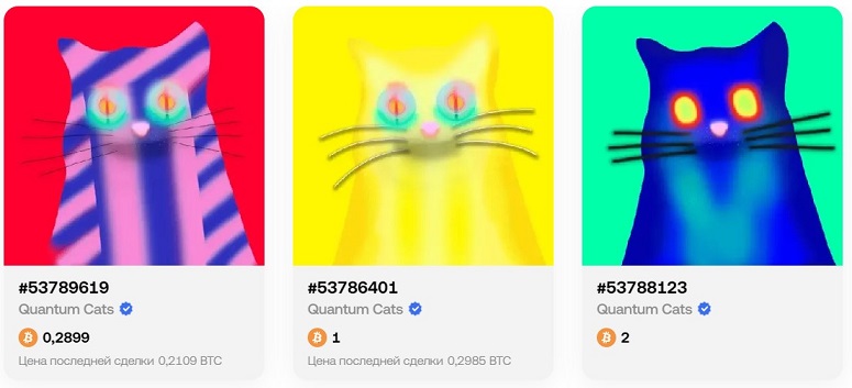 Quantum Cats