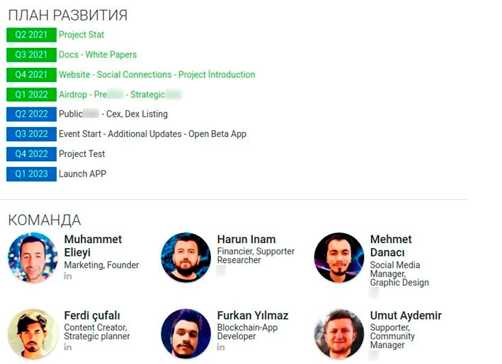 Страница сайта с информацией о стартапе