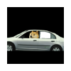 USEDCAR logo